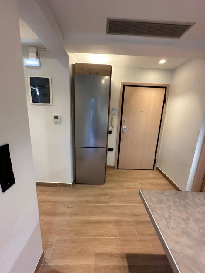 Vasilis Luxury Apartment Афины Экстерьер фото